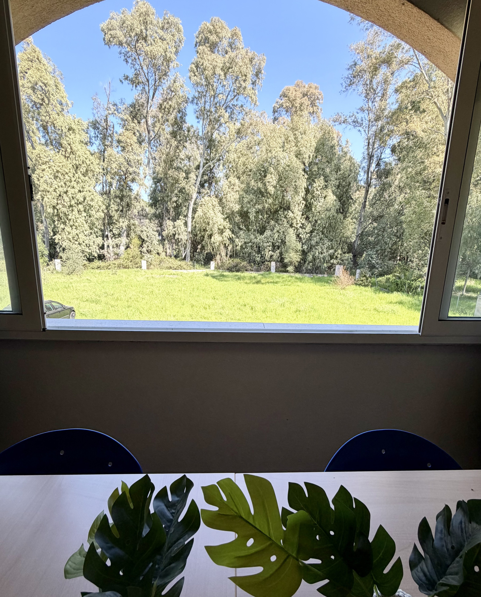 Agence immobilière de AL Immo CALVI CORSE