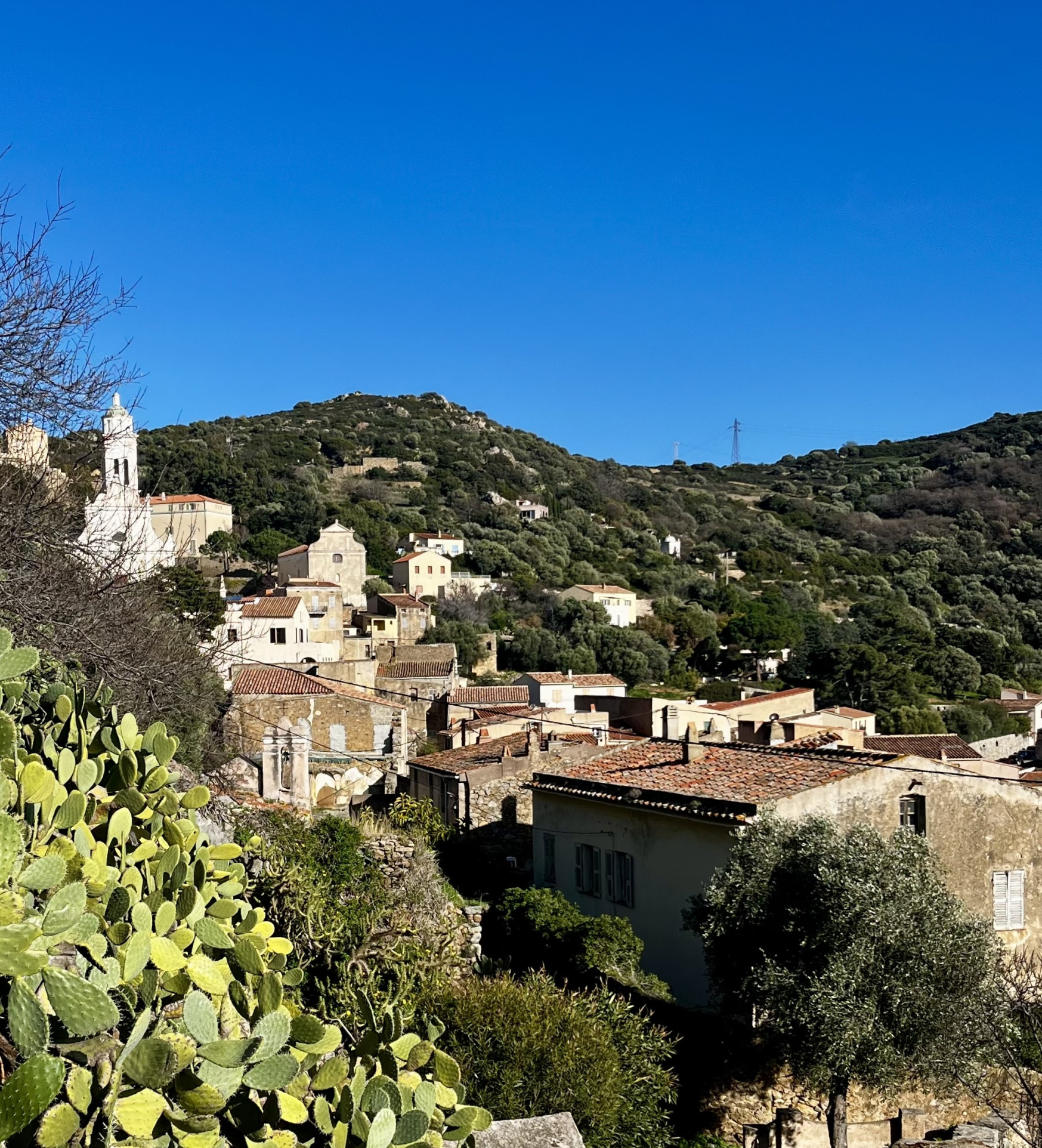 Agence immobilière de AL Immo CALVI CORSE