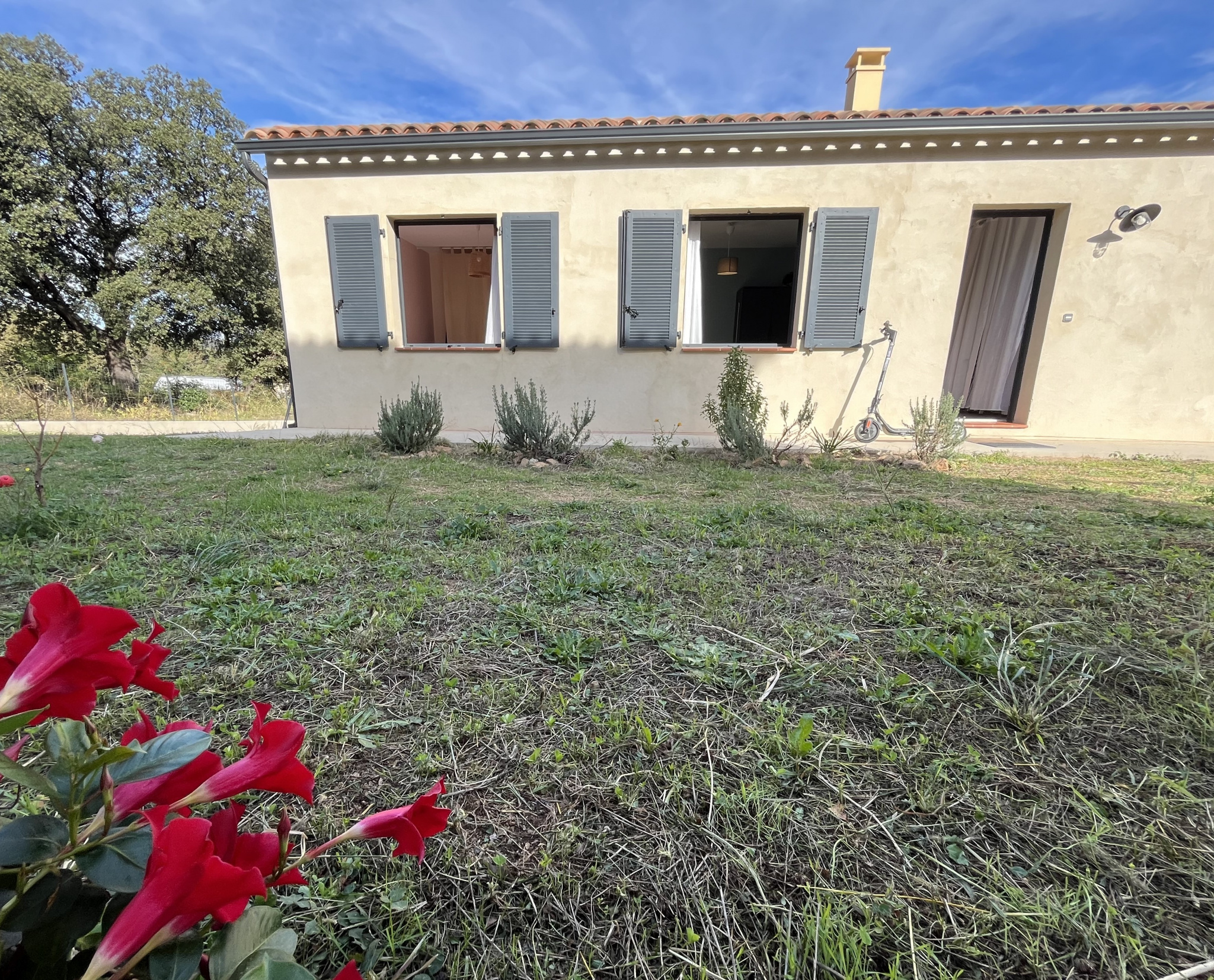 Agence immobilière de AL Immo CALVI CORSE