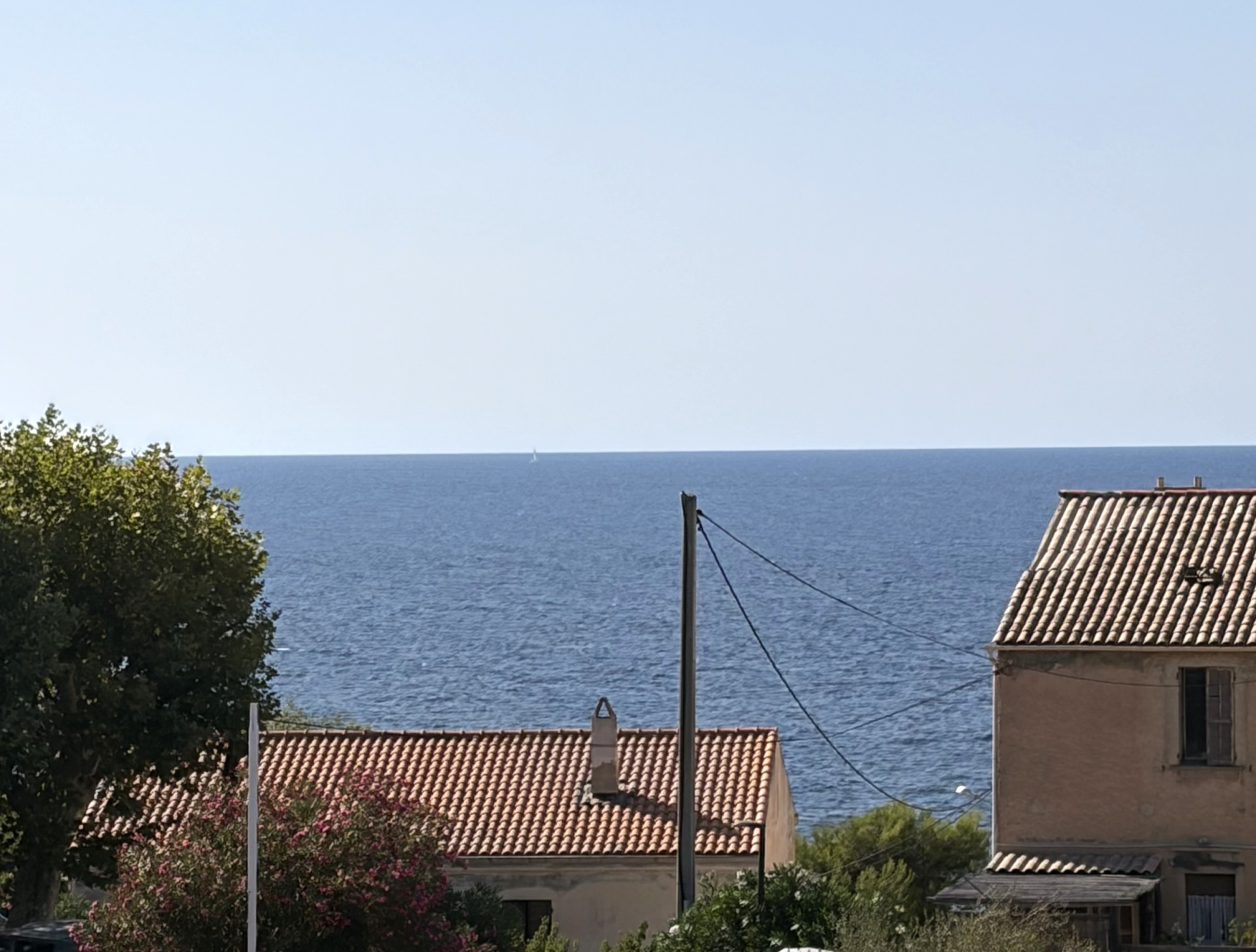 Agence immobilière de AL Immo CALVI CORSE