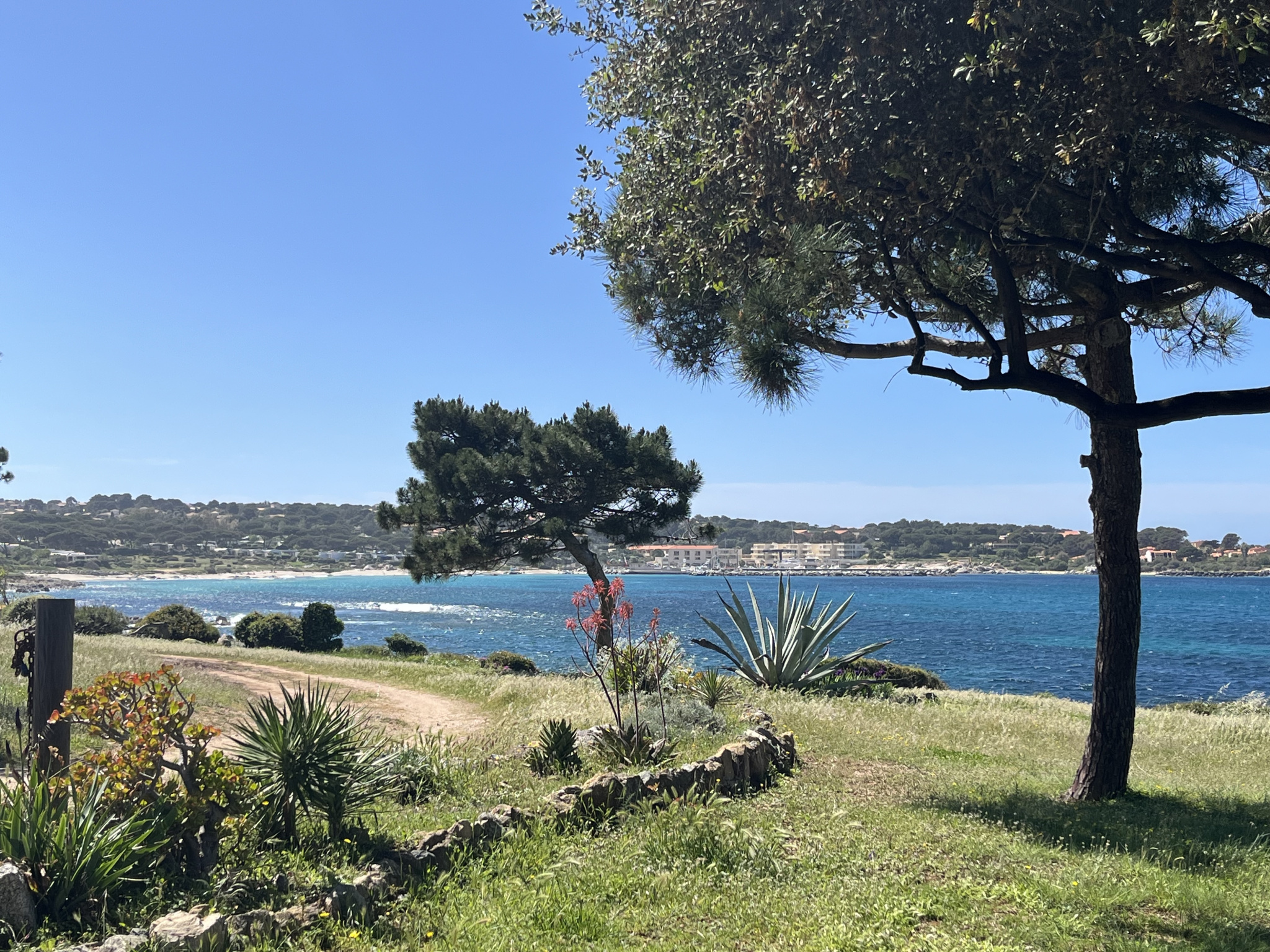 Agence immobilière de AL Immo CALVI CORSE
