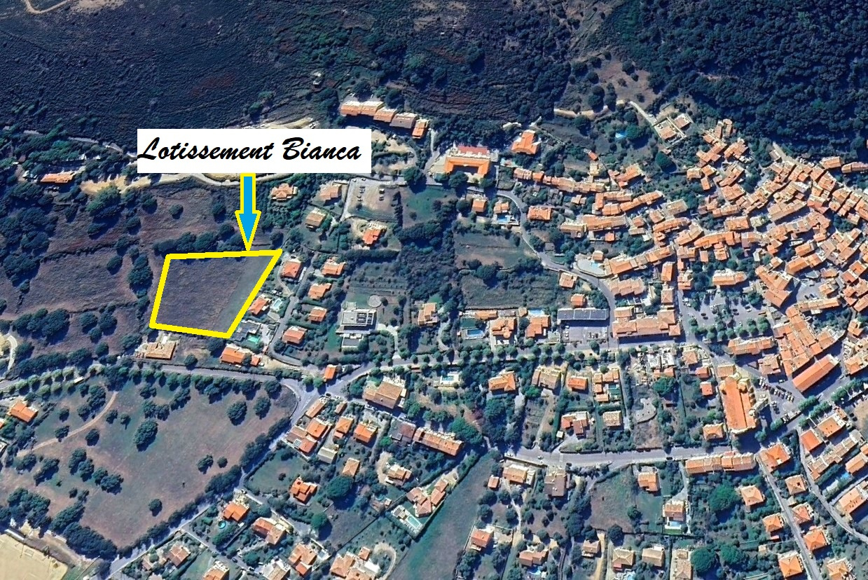 Agence immobilière de AL Immo CALVI CORSE