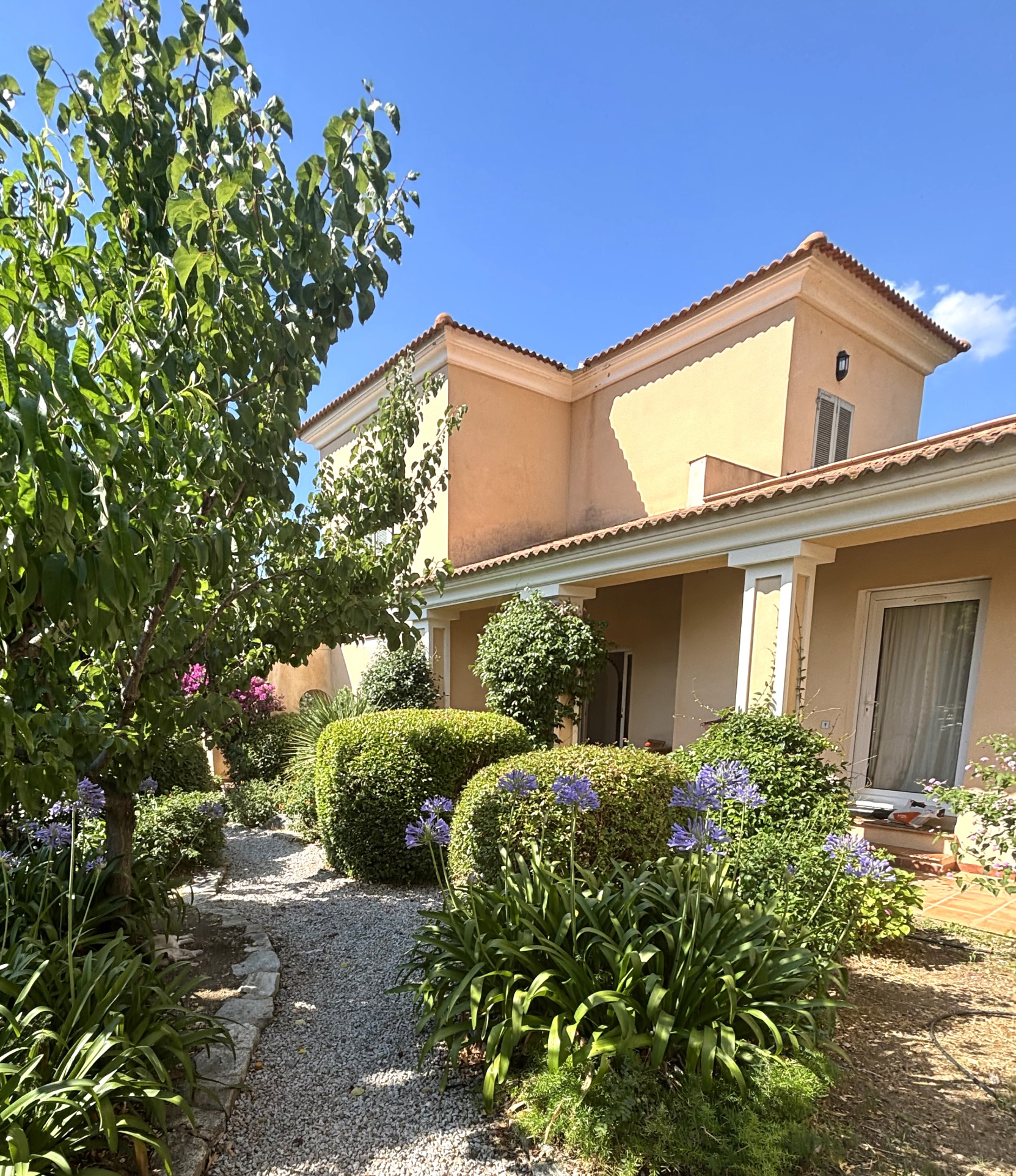 Agence immobilière de AL Immo CALVI CORSE