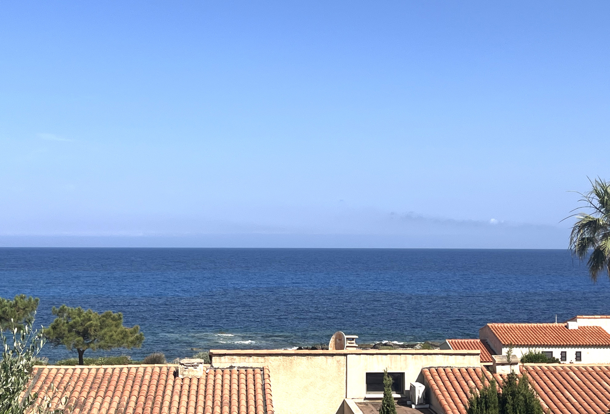 Agence immobilière de AL Immo CALVI CORSE